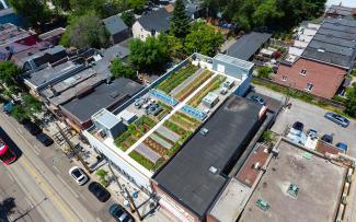 The urban farming roof at the Avling Kitchen and Brewery in Toronto is a wonderful example that might inspire the surrounding, triste rooftop desert to opt for green roofing. © Avling Rooftop garden from bird's eye view